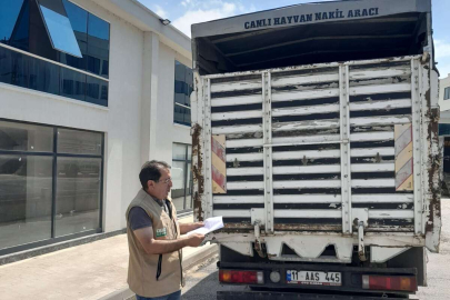 YALOVA'DA KURBANLIK HAYVAN SEVKLERİNE YOL DENETİMİ