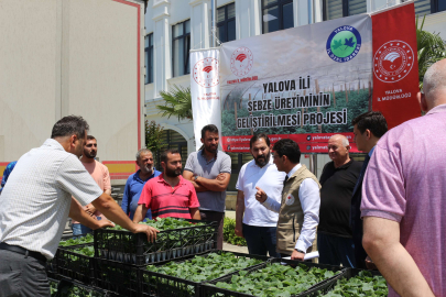 Yalova’da Örtüaltı Sebze Üretimi Artıyor
