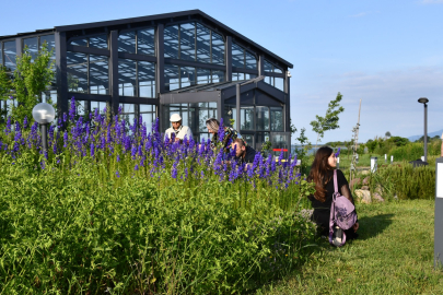 Ressamlardan, Hersek Bölgesine Yoğun İlgi
