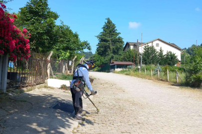 KADIKÖY'DE YEŞİL ALANLARA ÖZENLİ BAKIM"