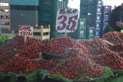 YALOVA KAPALI PAZARYERİ'NDE FİYATLAR DÜŞÜYOR