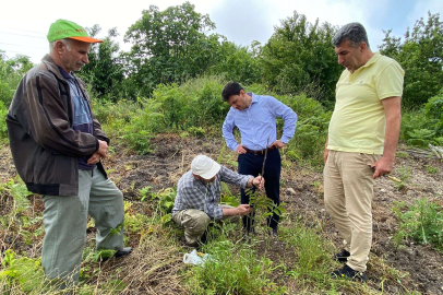 YALOVA TARIM VE ORMAN İL MÜDÜRLÜĞÜ ÇİFTÇİ ZİYARETLERİNE DEVAM EDİYOR