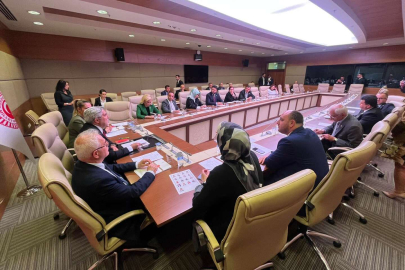 BÜYÜKGÜMÜŞ, DİJİTAL MECRALAR KOMİSYONU TOPLANTISINA KATILDI