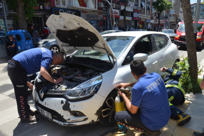 YALOVA İTFAİYESİ’NDEN KEDİ KURTARMA OPERASYONU