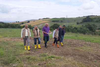 YALOVA'DA TARIM VE ORMAN MÜDÜRLÜĞÜ, MERA İSLAH ÇALIŞMALARINI İNCELEDİ