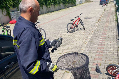 Çiftlikköy İtfaiyesi’nden karga kurtarma operasyonu