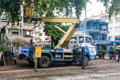 Ağaç budama çalışmalarına devam