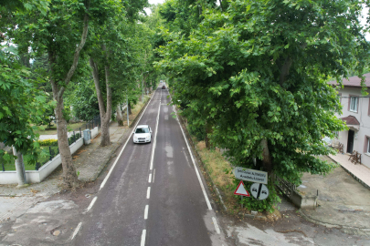 ÇINARLI HIYABAN GÖRÜNTÜSÜ İLE HERKESİ HAYRAN BIRAKIYOR