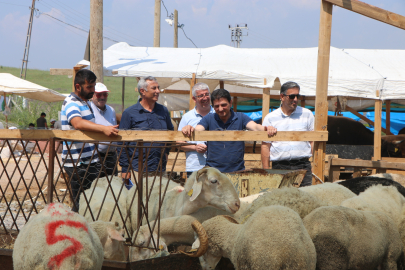 Parıldar kurban pazarı ve kesim yerlerini ziyaret etti