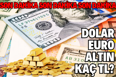  Dolar, Euro, Altın kaç TL? Son Dakika