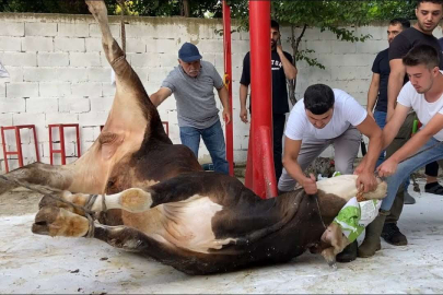 Kurban Bayramı’nda alınacak tedbirler açıklandı