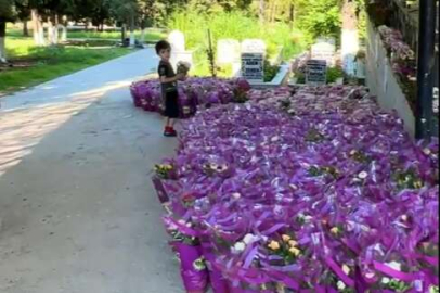 Tavşanlı Belediyesi'nden yüzlerce ücretsiz çiçek
