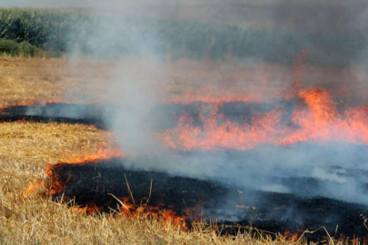 Parıldar'dan anız uyarısı