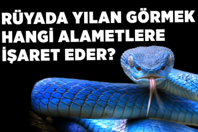 Rüyada yılan görmek nedir? Rüyada yılan görmek ne anlama gelir?