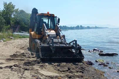 Çiftlikköy Sahilleri tertemiz oldu