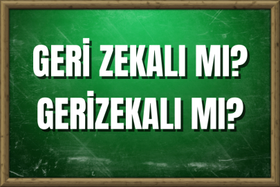 Geri zekalı mı? Gerizekalı mı? Nasıl Yazılır?