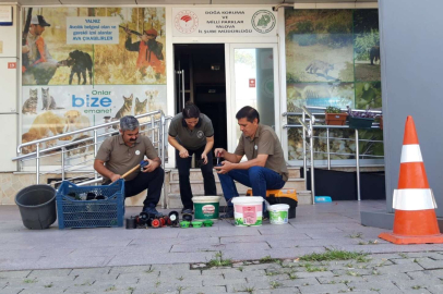 Bıldırcın sesi çıkartan teyp ile avcılığa geçit vermediler