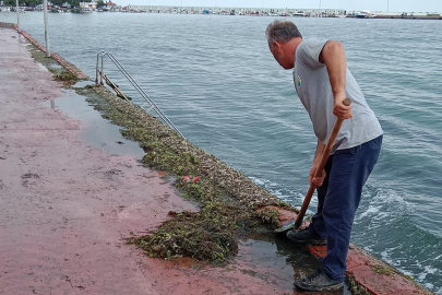 Yalova Yosun Sokakta yosun temizliği yapıldı