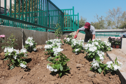 Yalova Çınarcık’ta Ay Deresinde çevre düzenlemesi yapılıyor