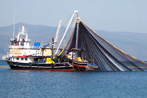 Yalova’da Balık avı sezonu başladı