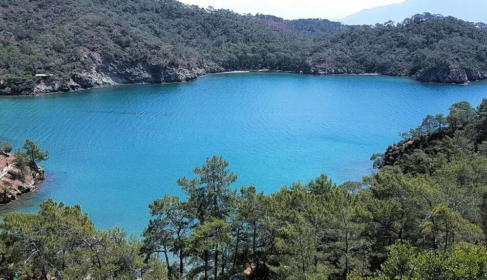 Katrancı Koyu Tabiat Parkı Yalova Hayat