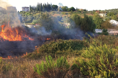 Çınarcık’ta arazi yangını