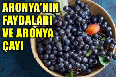 Aronya çayı nasıl yapılır? Aronya meyvesi faydaları nelerdir?