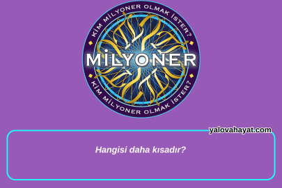 Hangisi daha kısadır?  Kim Milyoner Olmak İster