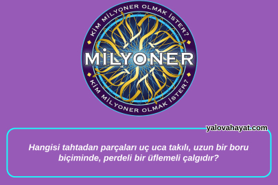 Hangisi tahtadan parçaları uç uca takılı, uzun bir boru biçiminde, perdeli bir üflemeli çalgıdır?  Kim Milyoner Olmak İster