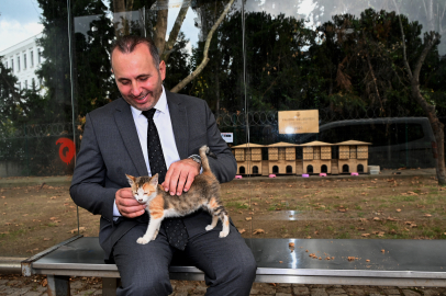 Yalova’da kedi evleri çok sevildi