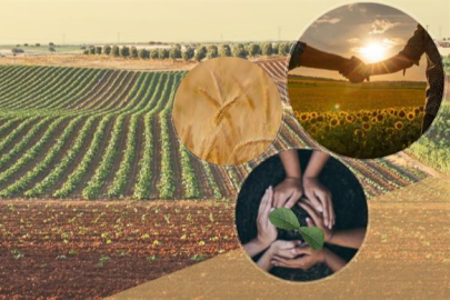 Tarımsal örgütlerde derecelendirme dönemi başlıyor