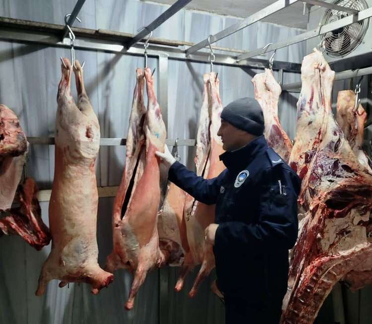 yalova altınova'da kasaplara denetim