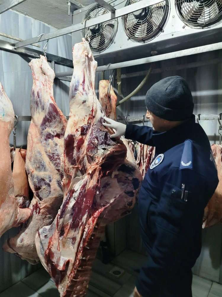 altınova'da kasaplar denetleniyor