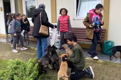 Yalova Koruköy Ortaokulu’ndan Barınağa Ziyaret