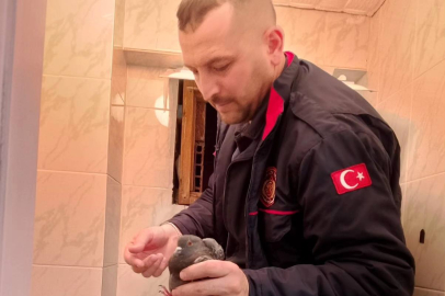 Çiftlikköy itfaiyesi güvercini ölümden kurtardı
