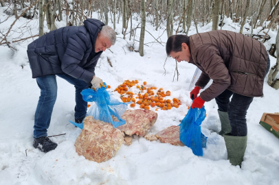 Yalova’da yaban hayvanları için dağlara yiyecek bırakıldı