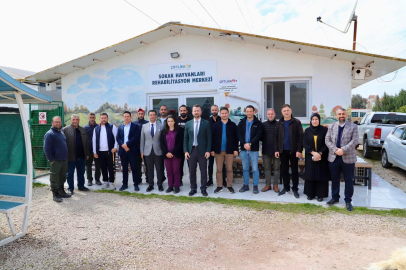 AK Parti Çiftlikköy Adayı Dr. Recep Hacı, “Sokak hayvanları hepimizin ortak sorunudur”