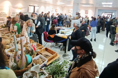 Yalova’da ilk kez Atalık Tohum Şenliği yapıldı