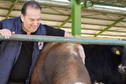 Güleç Kardeşler, kurbanlık satışlarına 21 Nisan’da başlıyor