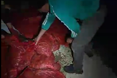 Ekipler Yalova’da 1 ton 150 kilo kaçak midye ele geçirdi