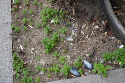 Duyarsız vatandaşlar Yalova’da çevre kirliliğine neden oluyor