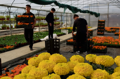 Yalovalı öğrenciler çiçekleriyle Yalova'yı güzelleştiriyor