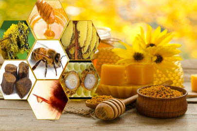 Yalova Tarım ve Orman İl Müdürü Suat Parıldar duyurdu! Türk Gıda Kodeksi Arı Ürünleri Tebliği yayımlandı