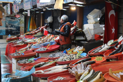 Yalova’da balık miktarı azaldı, fiyatlar yükseldi!