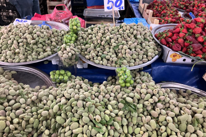 Yalova'da baharın müjdecisi çağla badem tezgahları süsledi