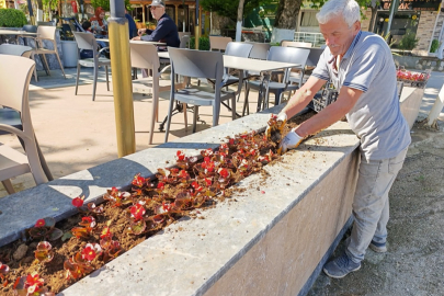 Çınarcık’ta parklar çiçek açtı