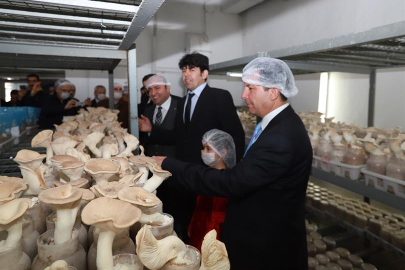 Yalova Araştırma Enstitüsü, Egzotik Mantar yetiştirmeyi öğretecek