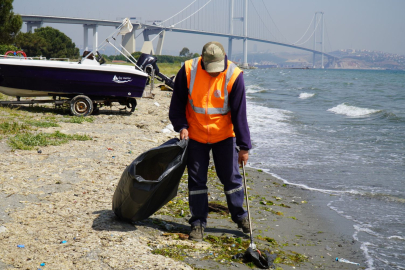 Hersek Sahilinde temizlik çalışmaları başladı
