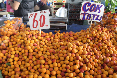 Yaz geldi, Yalova Semt Pazarı'nda fiyatlar düştü!