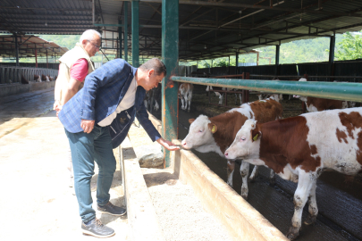 Tarım Müdürlüğü Heyetinden, yangın atlatan yetiştiriciye geçmiş olsun ziyareti
